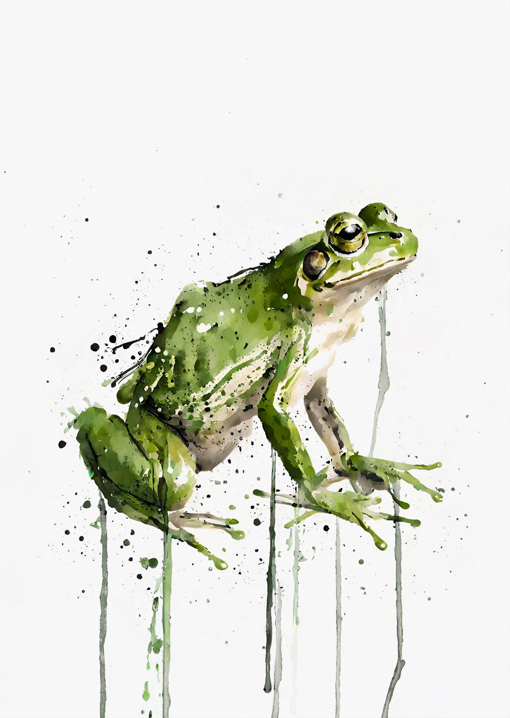 Green Tree Frog Wall Art Print