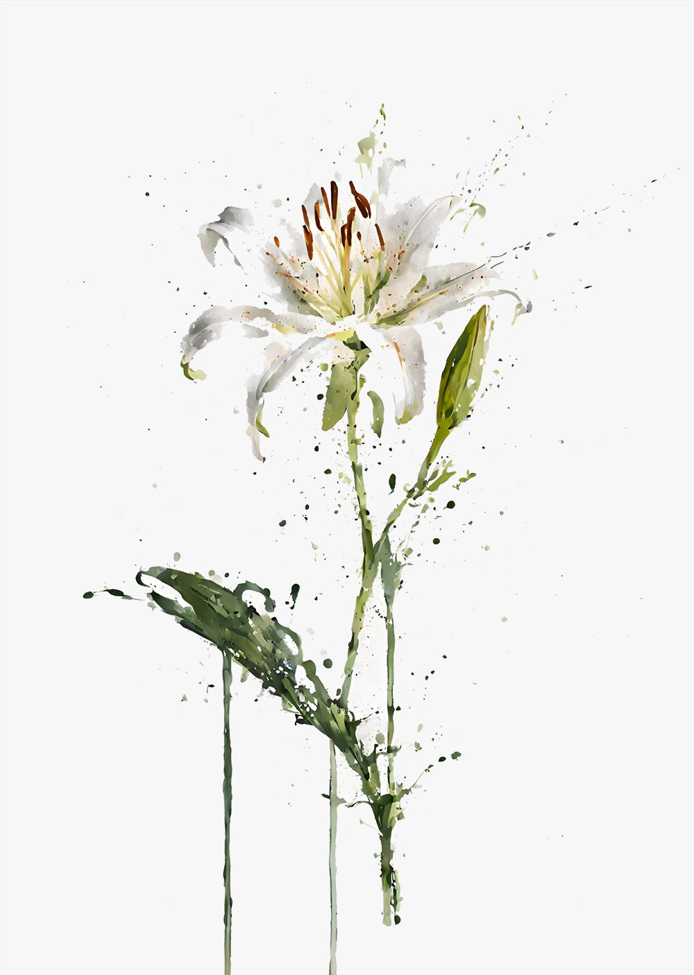 White Lily Wall Art Print