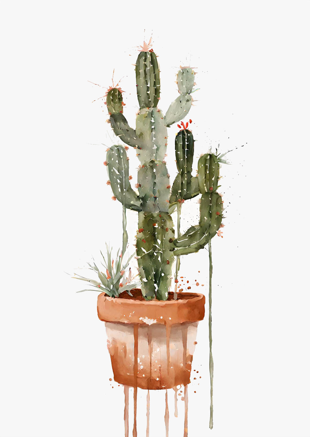 Potted Cactus Wall Art Print