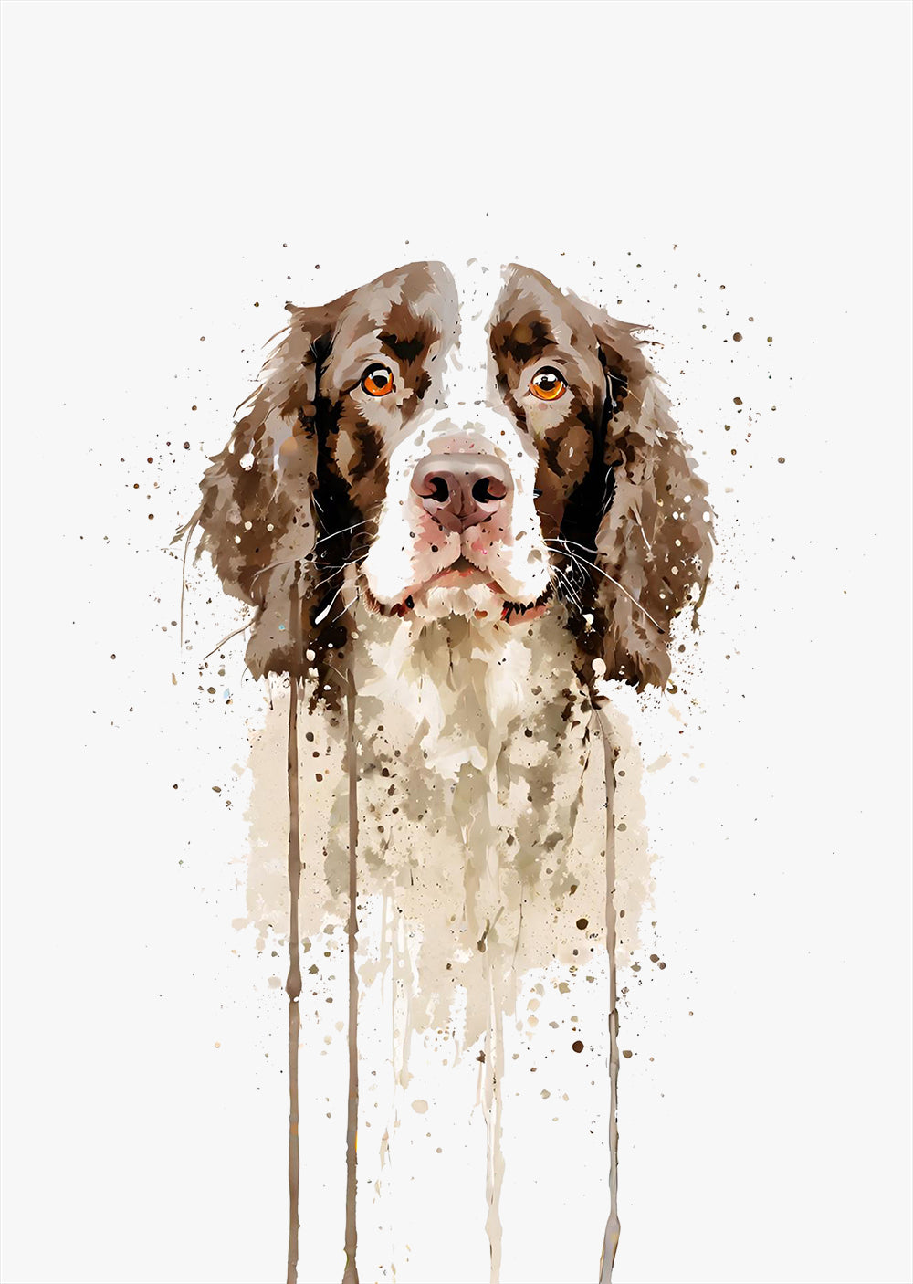 Springer Spaniel Dog Wall Art Print