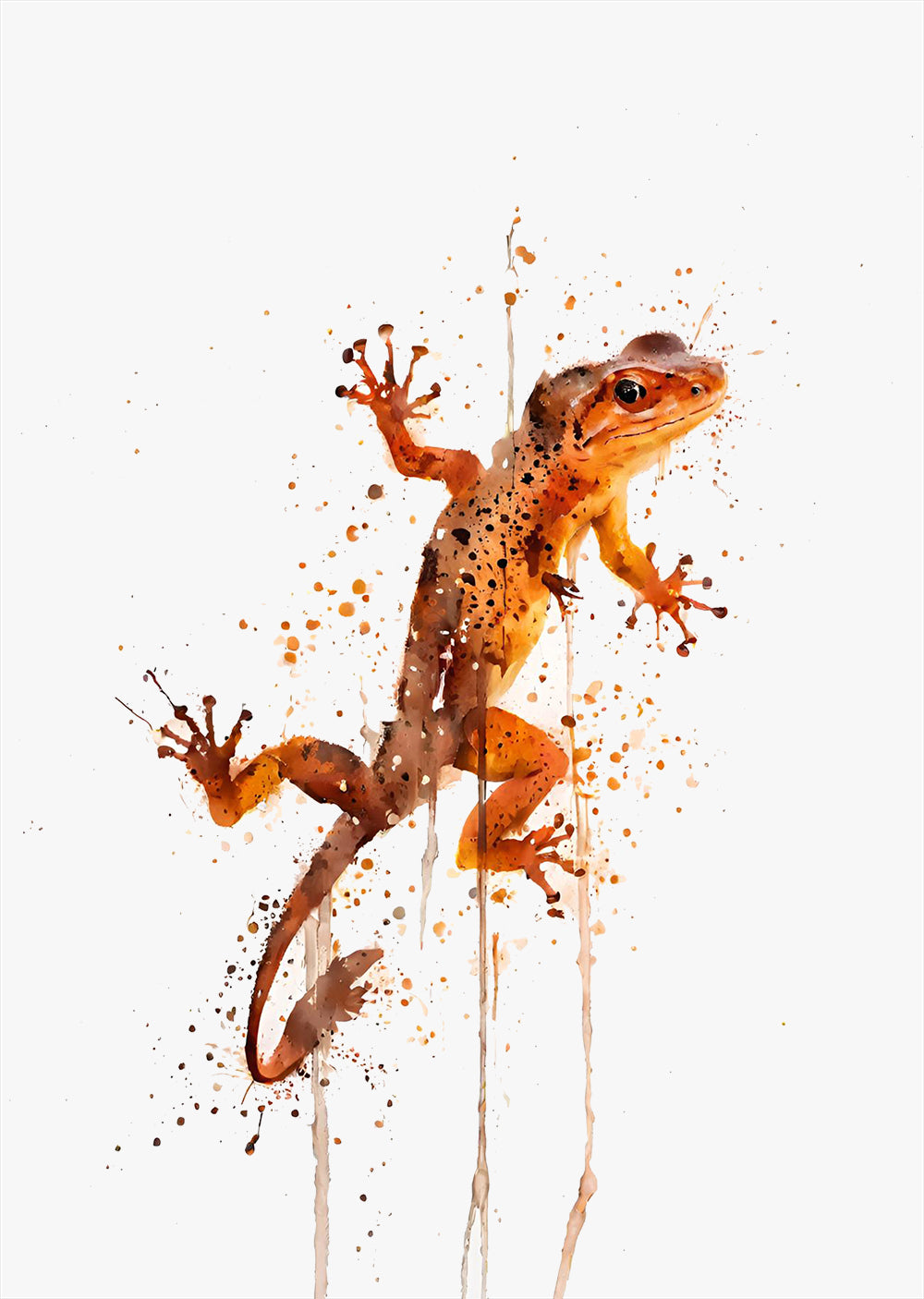 Gecko Wall Art Print