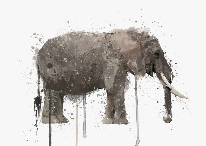 Elephant Wall Art Print