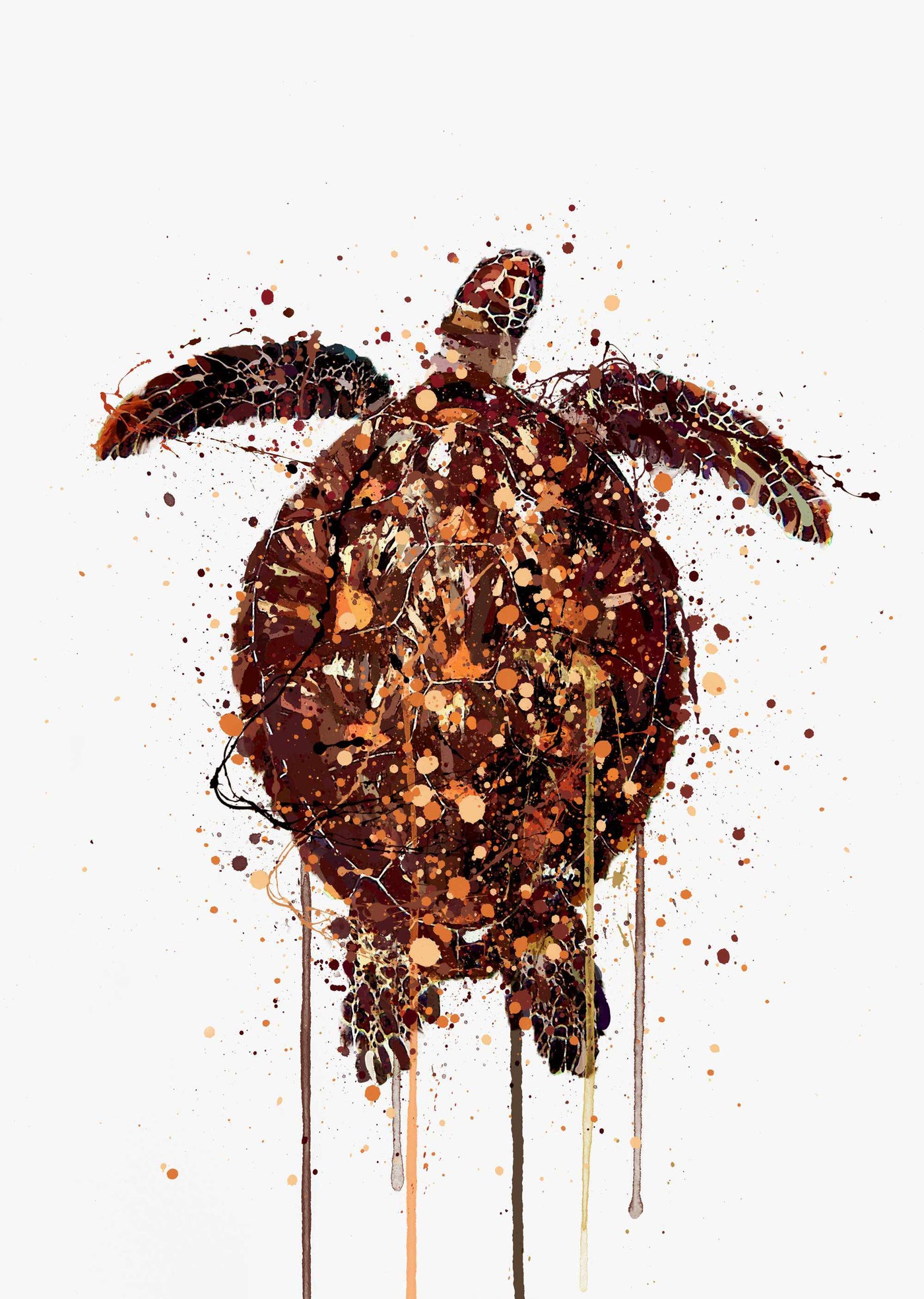 Sea Creature Wall Art Print 'Turtle'-We Love Prints