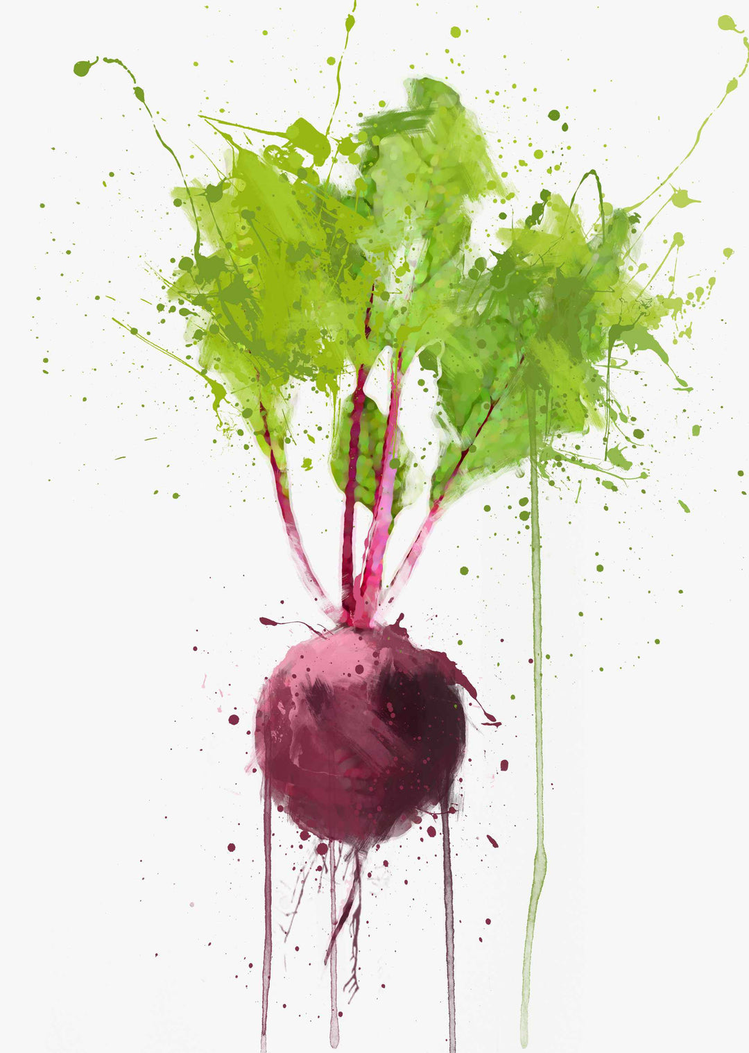 Beetroot Vegetable Wall Art Print
