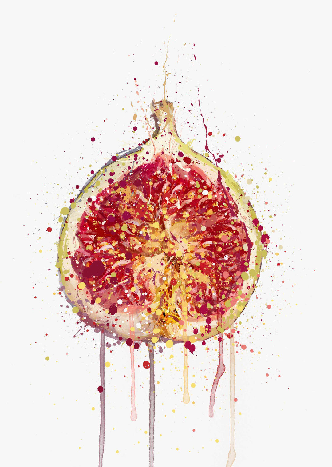 Fig Fruit Wall Art Print
