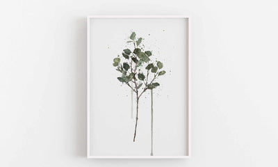 Eucalyptus Wall Art Print - Plant Prints, Botanical Art Prints and Botanical Illustrations