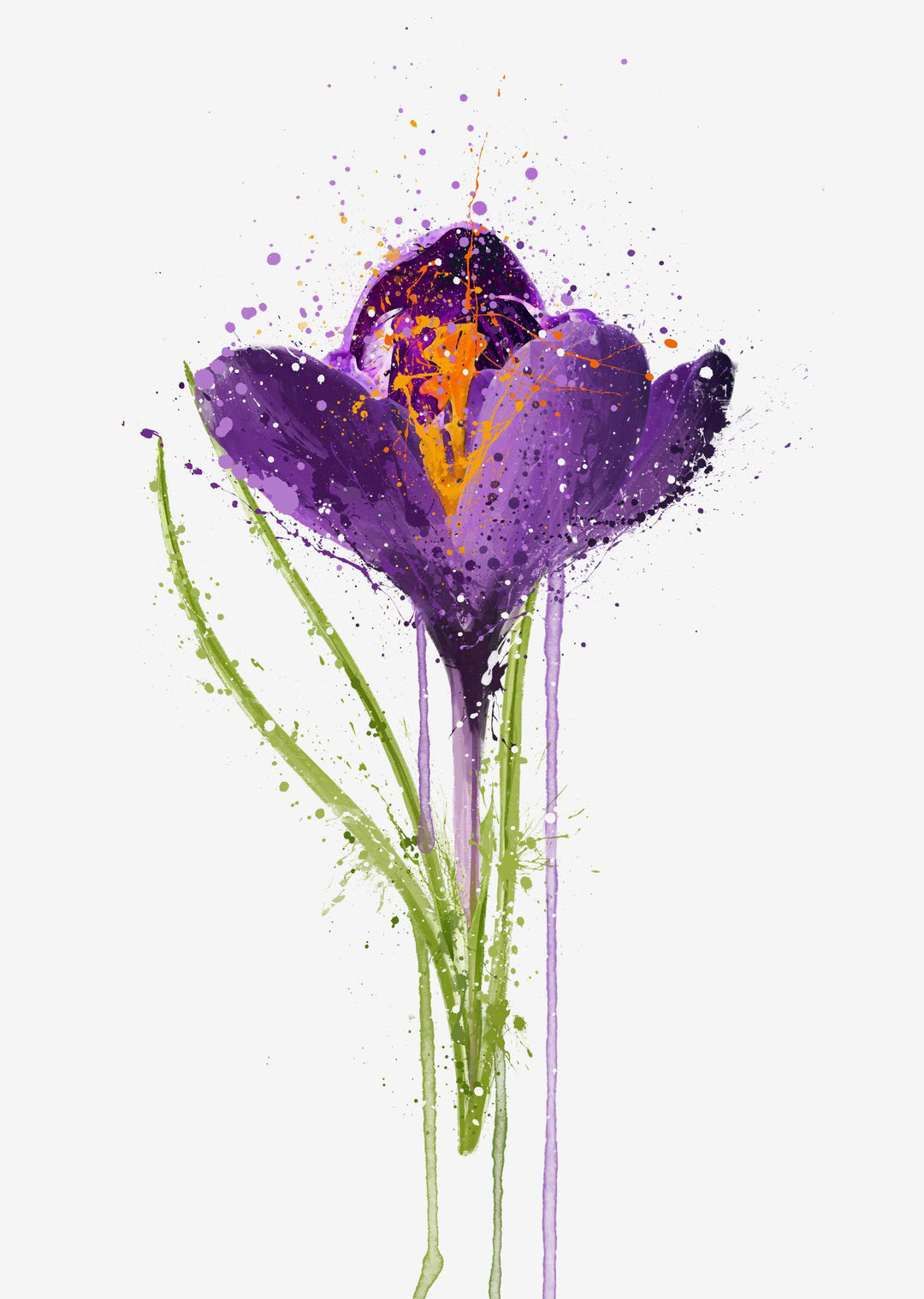 Blumen Wandbild 'Krokus'