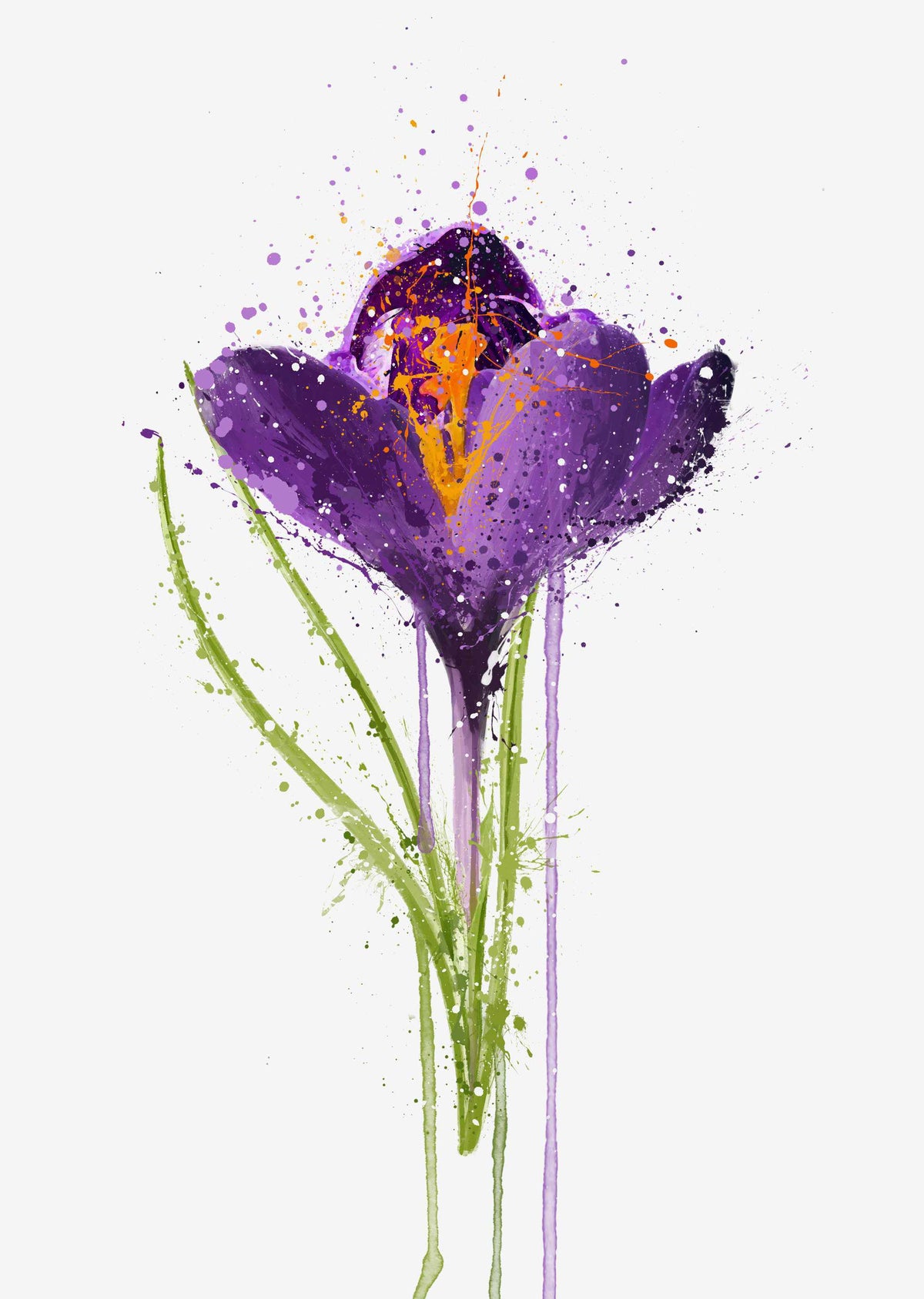 Flower Wall Art Print 'Crocus'