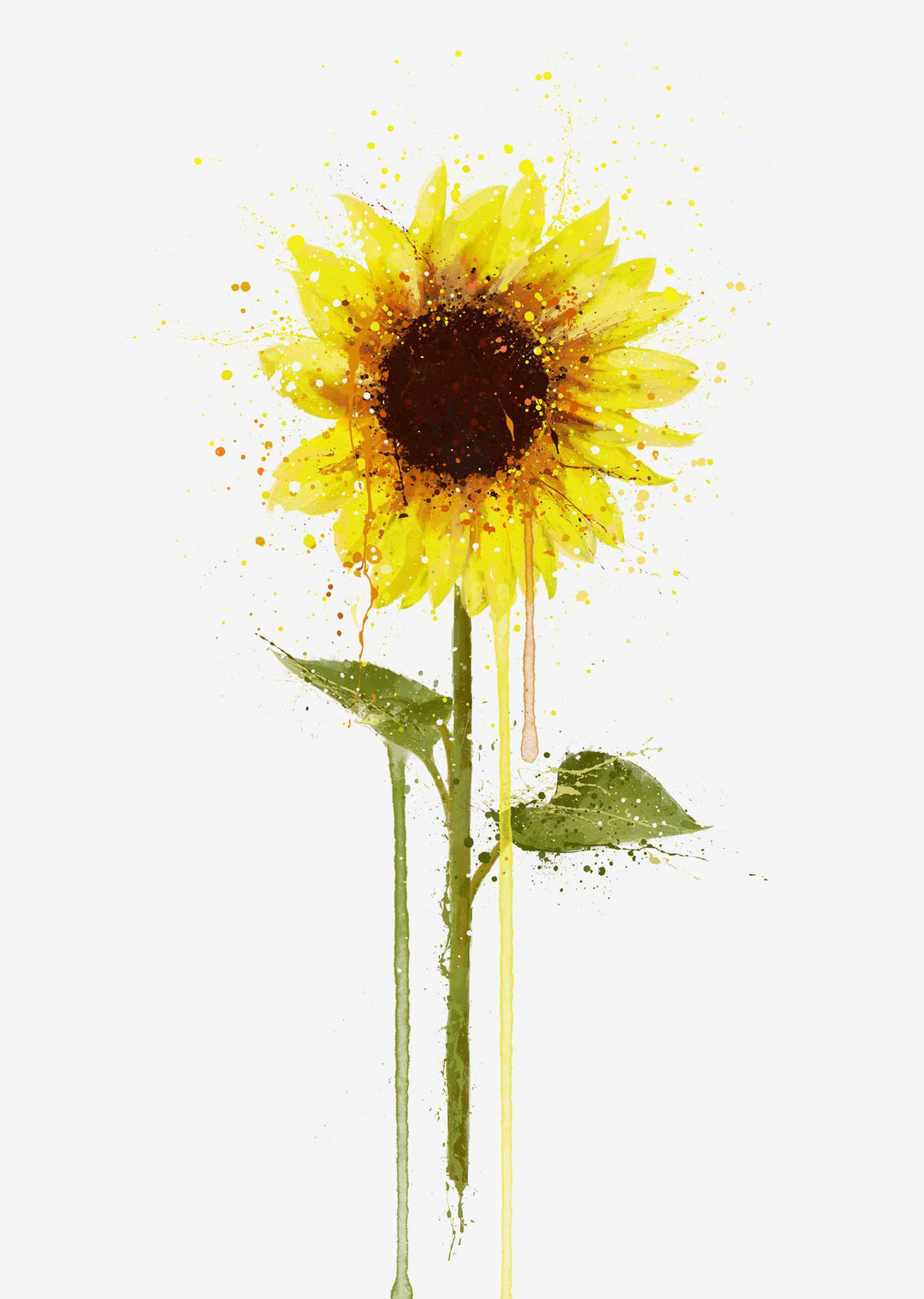 Blumen Wandbild 'Sonnenblume'