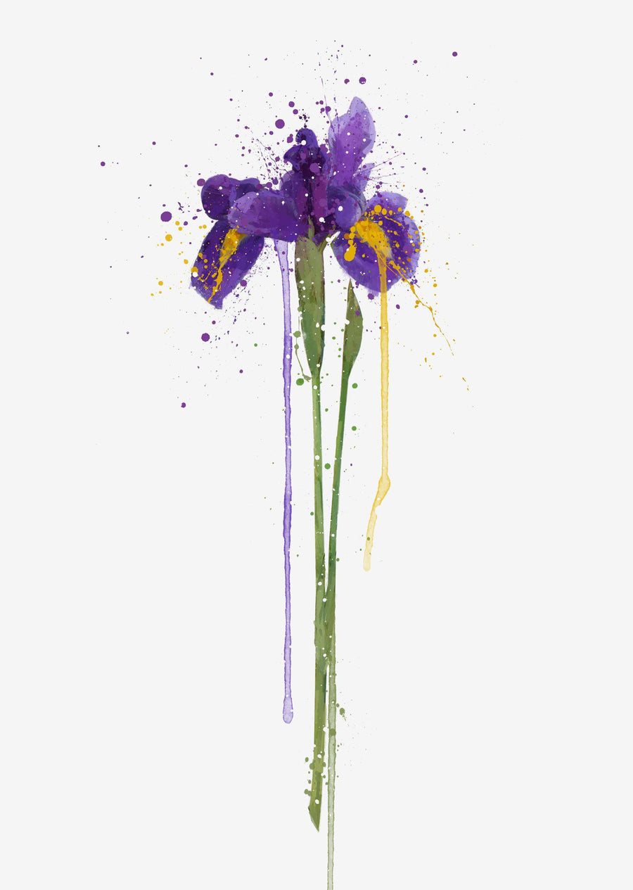 Flower Wall Art Print 'Iris'