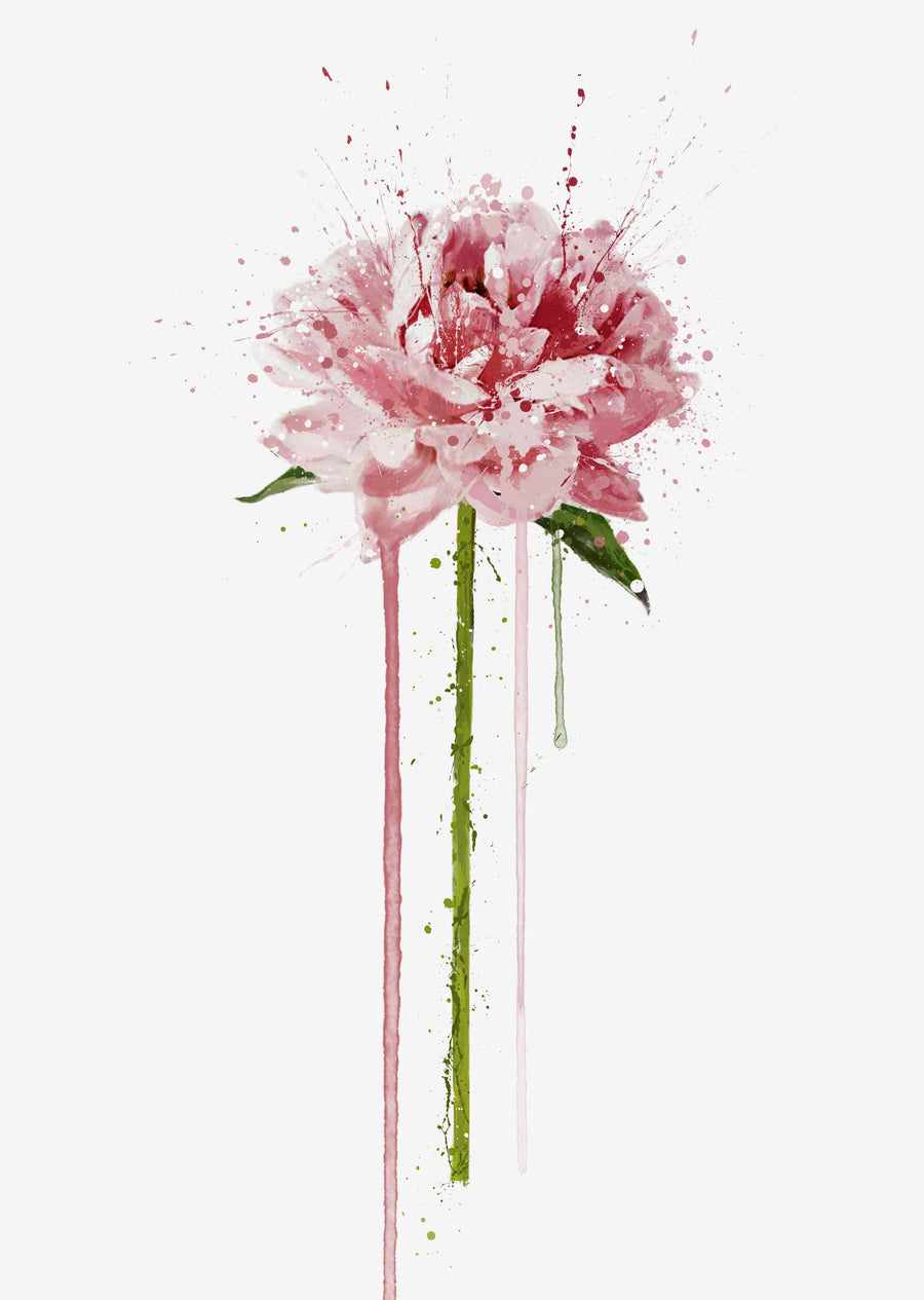 Blumen Wandbild 'Pfingstrose'