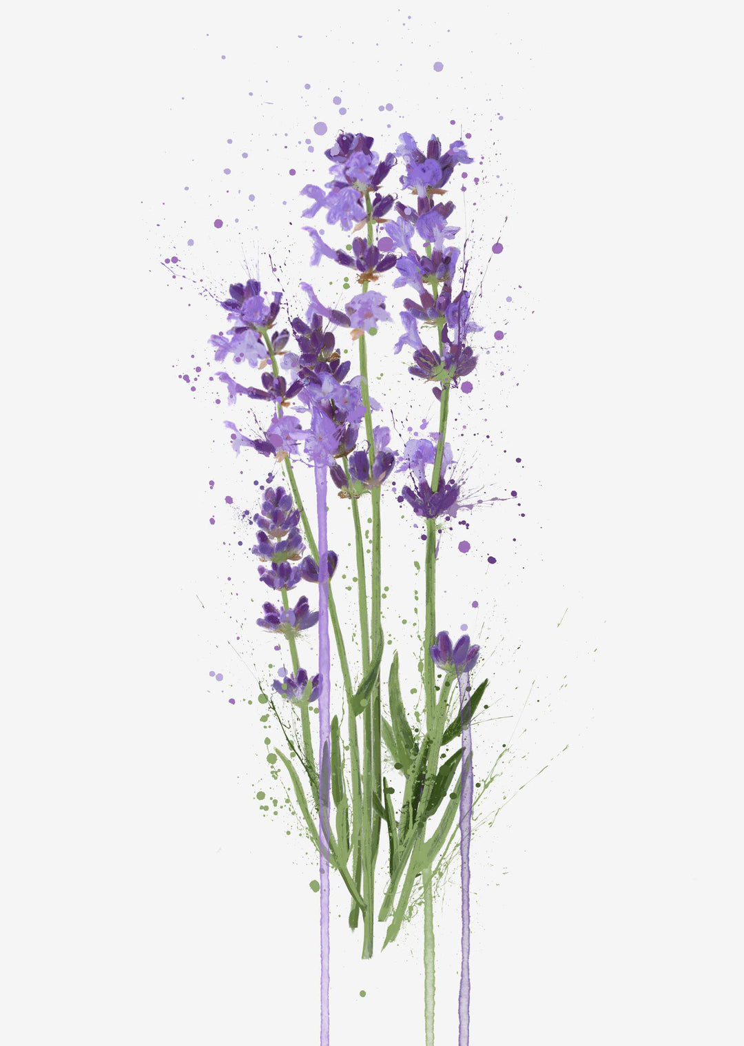 Blumen Wandbild 'Lavendel'