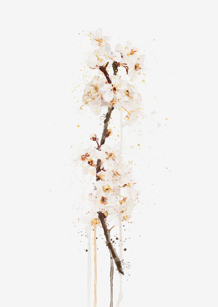 Blumen Wandbild 'Weiße Kirschblüte'