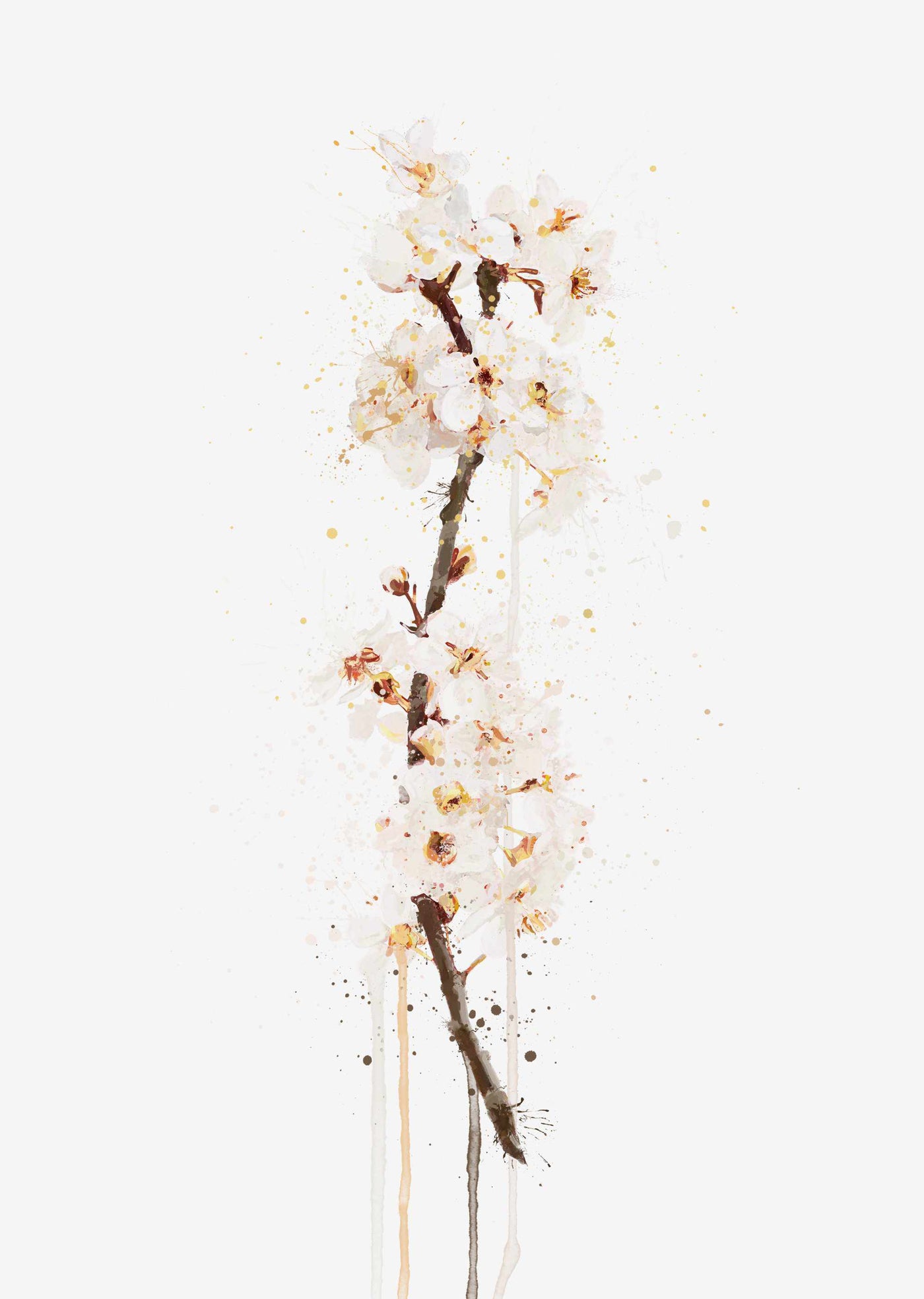 Flower Wall Art Print 'White Cherry Blossom'