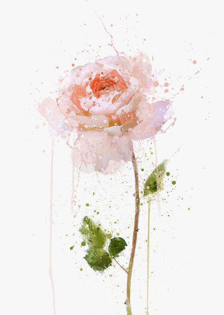 Blumen Wandbild 'Englische Rose'