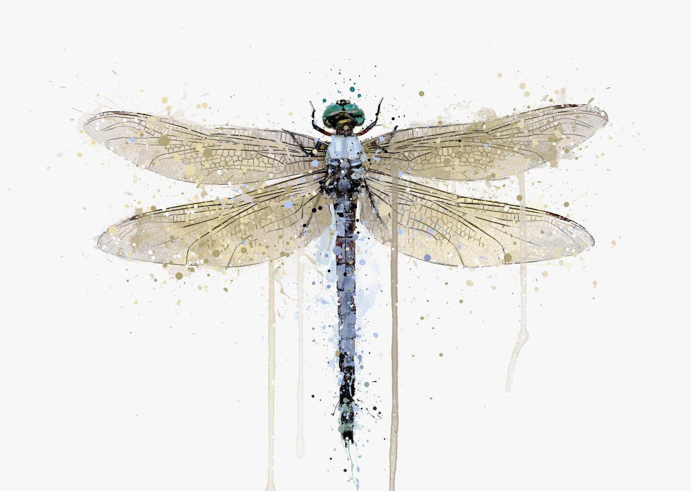 Dragonfly Wall Art Print ‘Powder Blue’