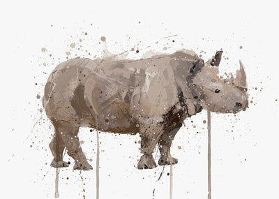 Rhino Wall Art Print