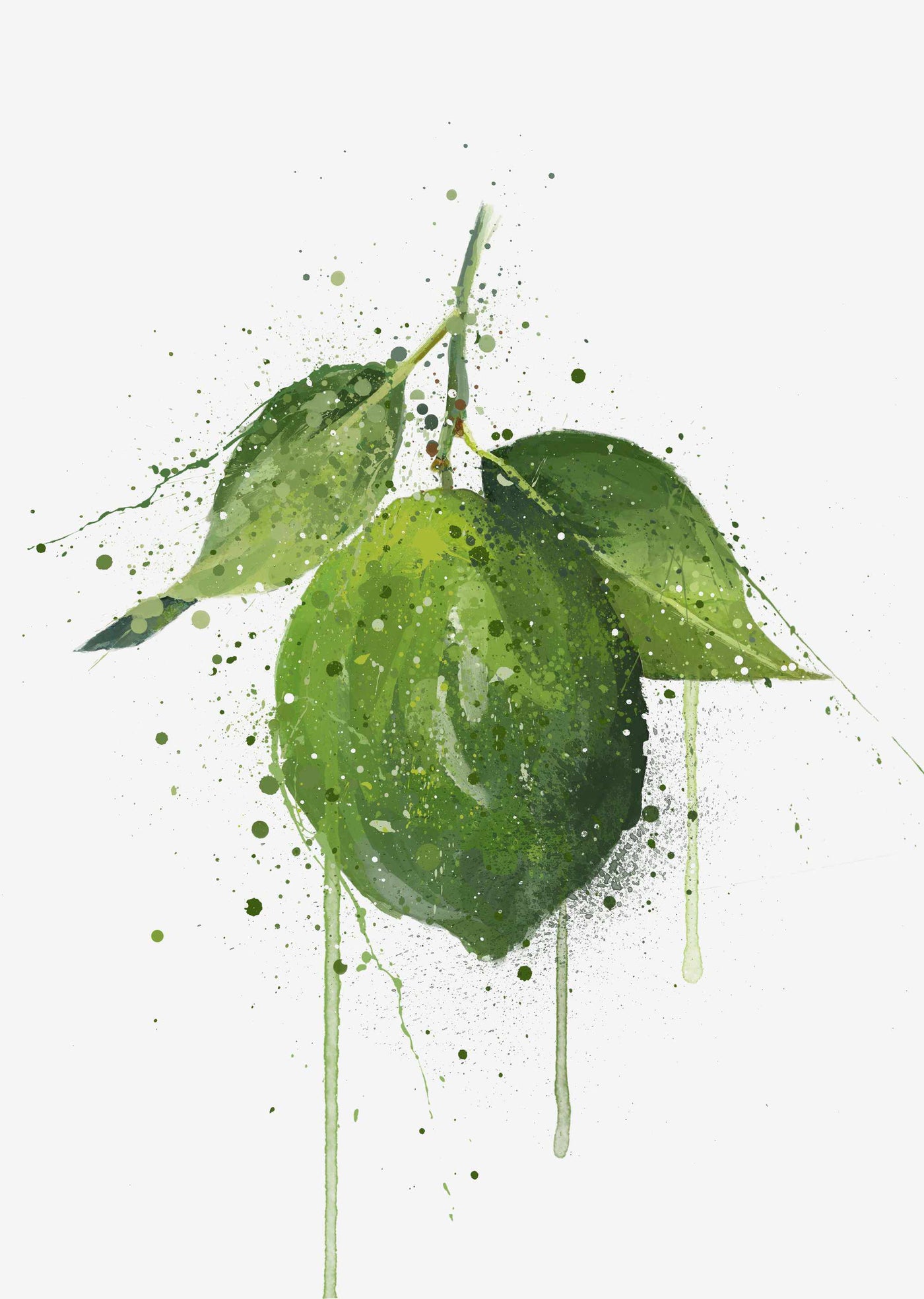 Whole Lime Fruit Wall Art Print