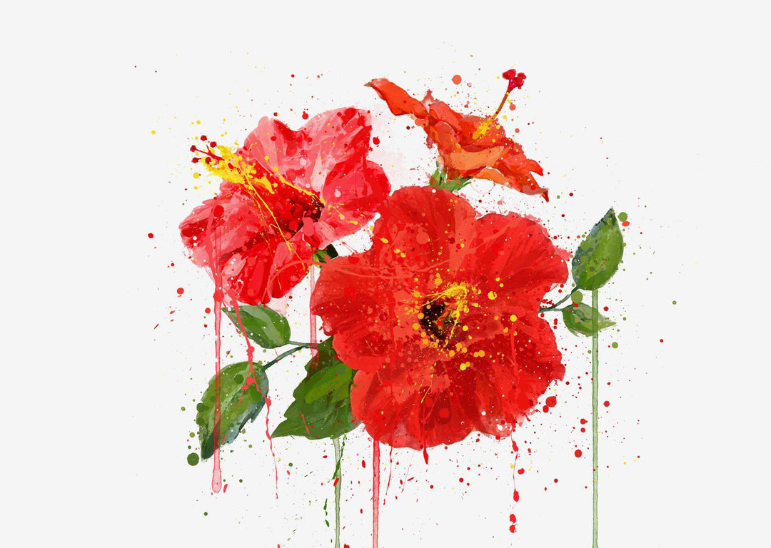 Flower Wall Art Print ‘Red Hibiscus'