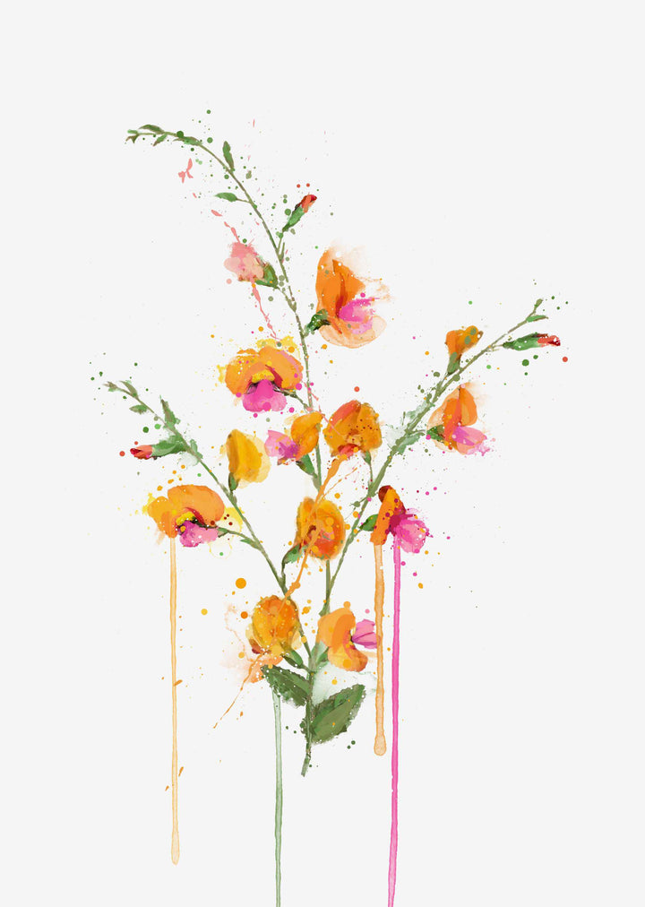Blumen Wandbild 'Flammenerbse'