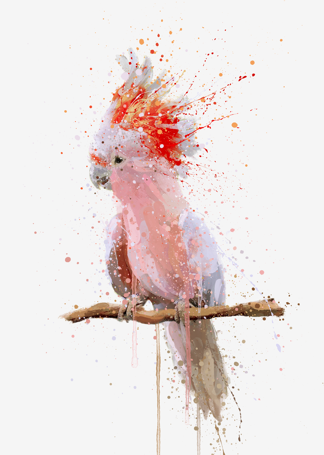 Kakadu Wandbild 'Pink Majesty'