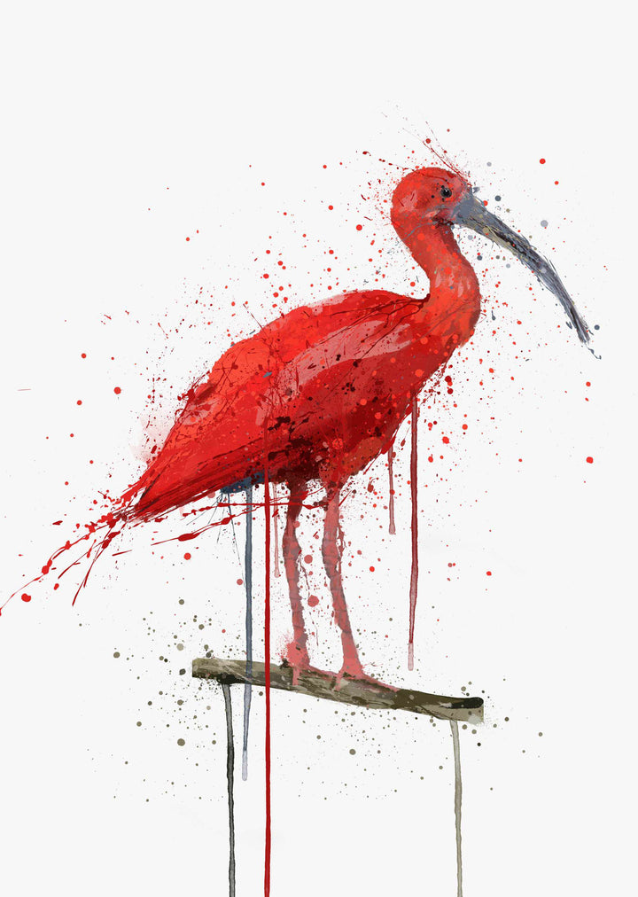 Scharlachroter Ibis-Vogel-Wand-Kunstdruck
