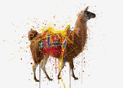 Llama Wall Art Print
