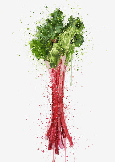 Rhubarb Vegetable Wall Art Print
