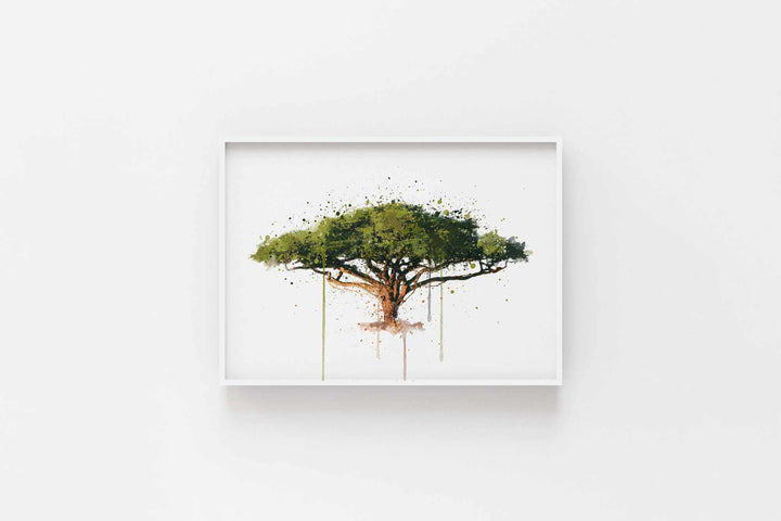 Botanical Wall Art Print ‘Acacia’ - Plant Prints, Botanical Art Prints and Botanical Illustrations