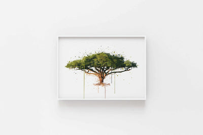 Botanical Wall Art Print ‘Acacia’ - Plant Prints, Botanical Art Prints and Botanical Illustrations
