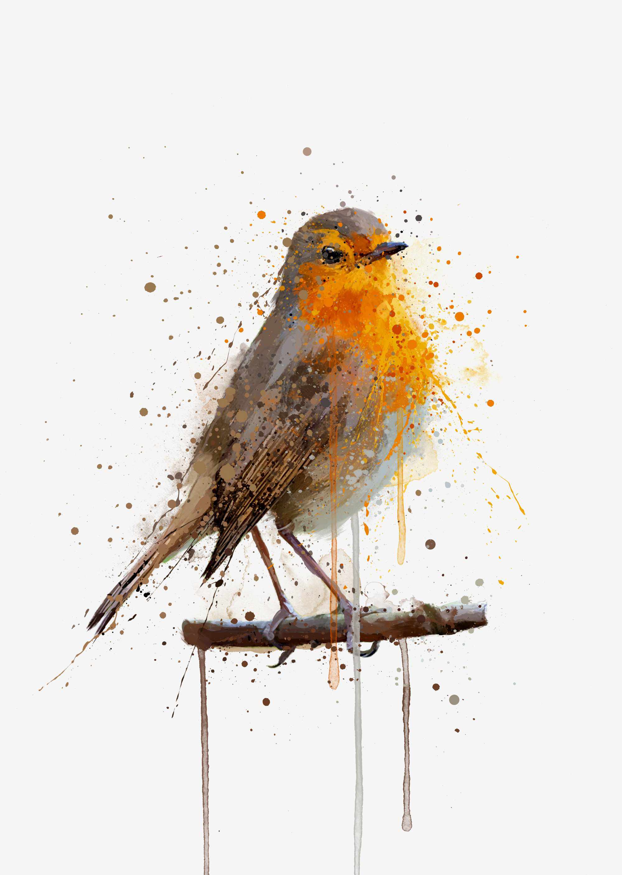 Robin Quote A4 Print – Bird Wall Art Poster, Home Decor Gift, Unframed, Multi-Colour, UK Made