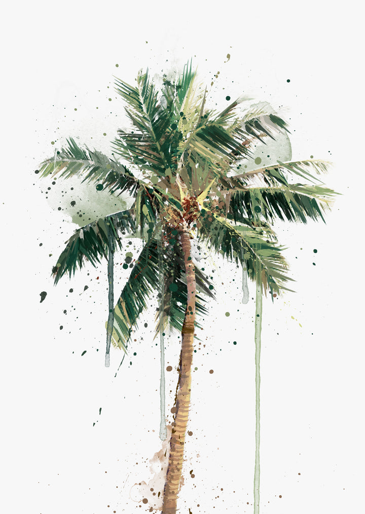 Botanischer Kunstdruck 'Palme' - Pflanzendrucke, botanische Kunstdrucke und botanische Illustrationen