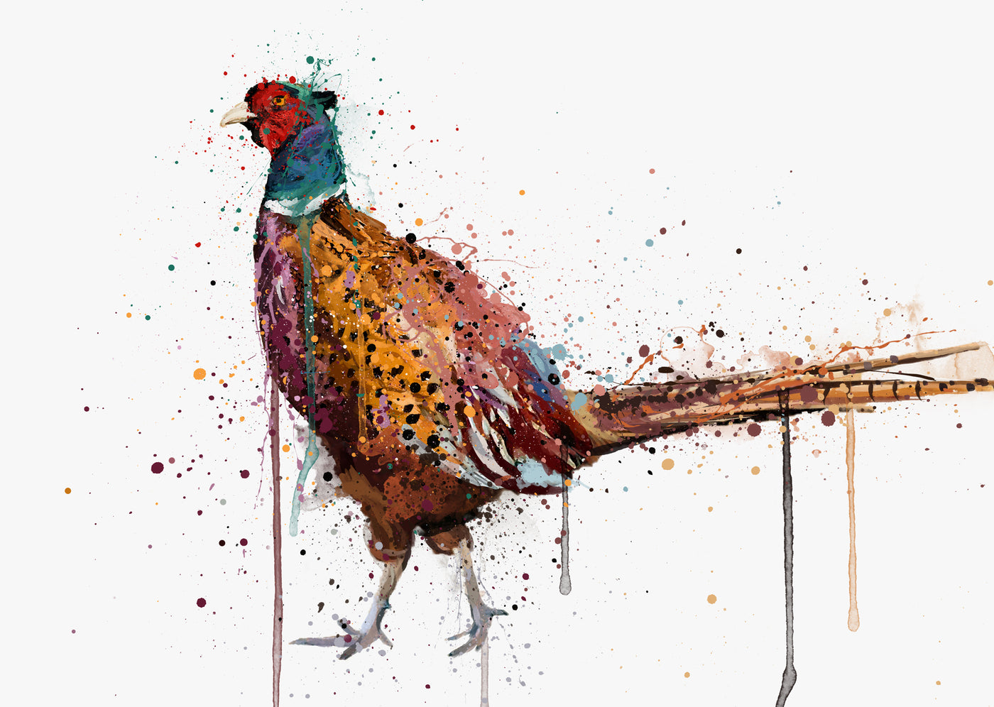 Pheasant Bird Wall Art Print