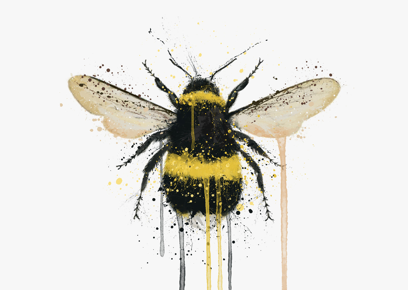 Bumblebee Wall Art Print (Horizontal)