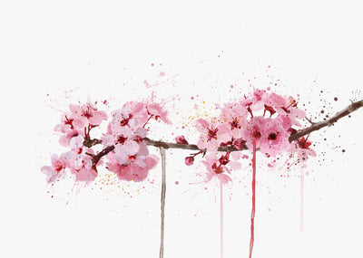 Flower Wall Art Print 'Cherry Blossom' (Horizontal)