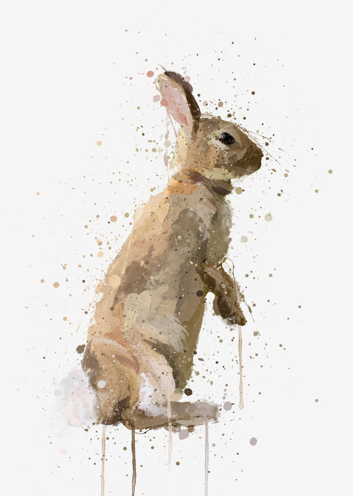 Rabbit Wall Art Print