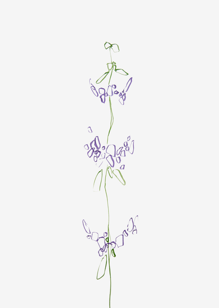 Minimaler Wildblumen-Wand-Kunstdruck "Lila"