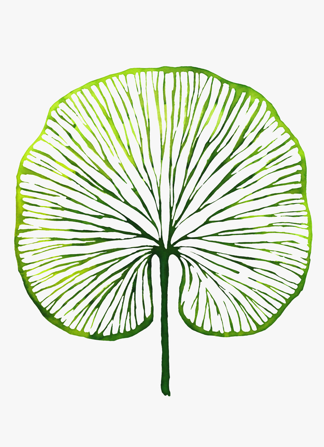 Botanischer Kunstdruck 'Veins' - Pflanzendrucke, botanische Kunstdrucke und botanische Illustrationen