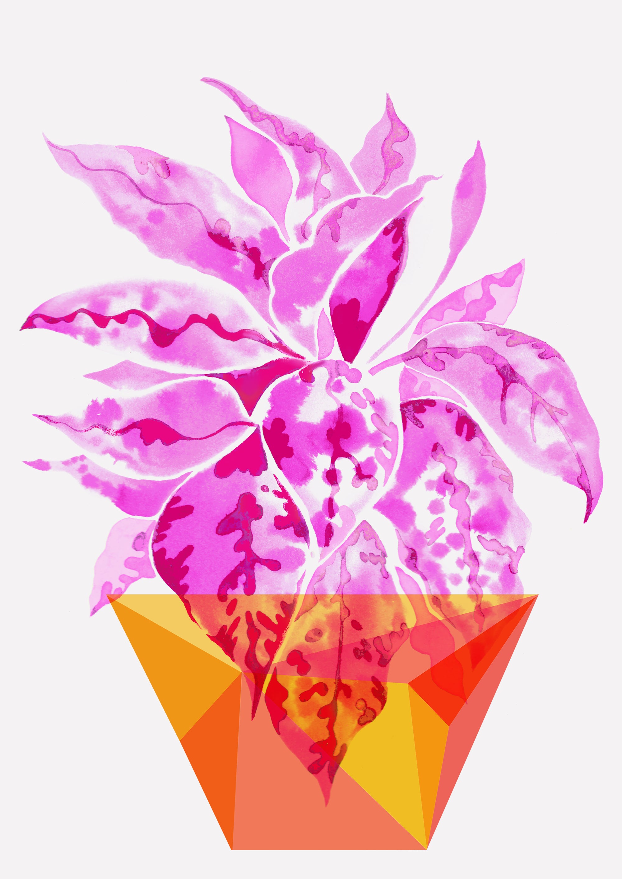 Botanical Wall Art Print 'Chromatica' Plant Prints, Botanical Art Pr