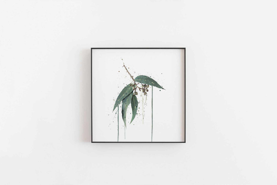 Botanischer Kunstdruck 'Eukalyptus' - Pflanzendrucke, botanische Kunstdrucke und botanische Illustrationen