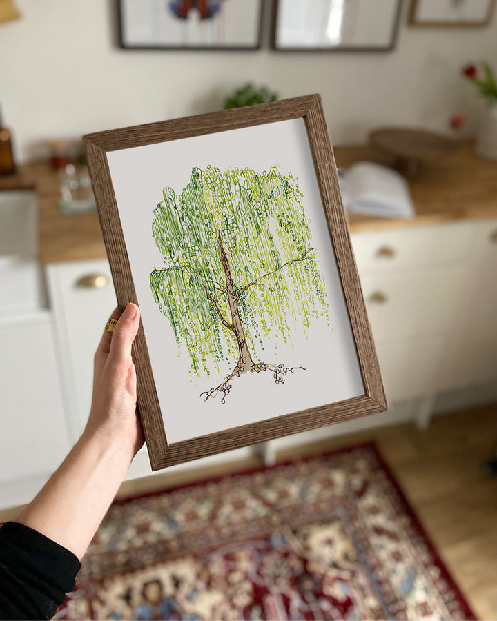 Willow Tree Wall Art Print - Pflanzendrucke, botanische Kunstdrucke und botanische Illustrationen