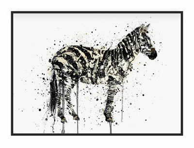 Zebra Wall Art Print