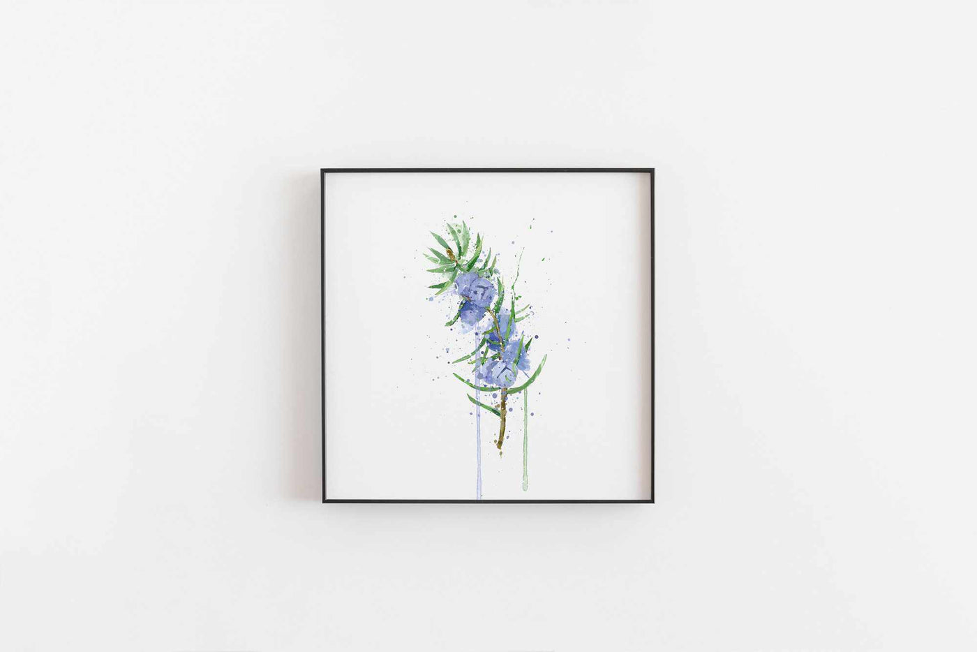 Botanical Wall Art Print ‘Juniper’ - Plant Prints, Botanical Art Prints and Botanical Illustrations