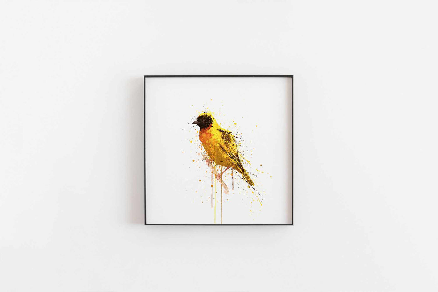 Yellow-Backed Weaver Bird Wall Art Print