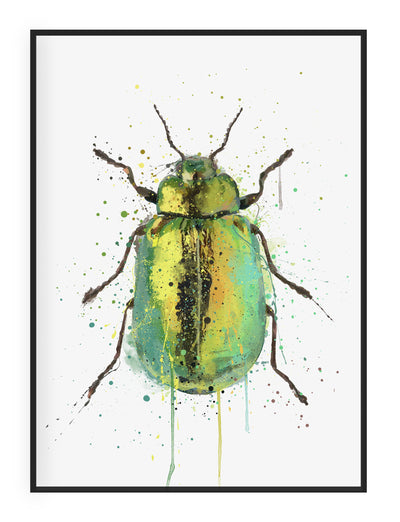Jewel Beetle' Wall Art Print