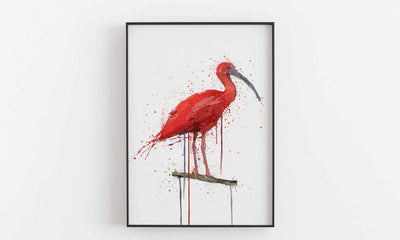 Scarlet Ibis Bird Wall Art Print