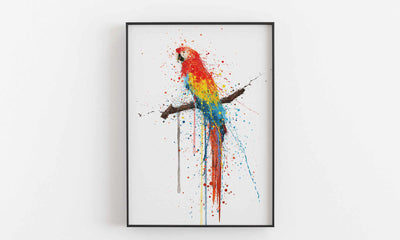 Scarlet Macaw Bird Wall Art print