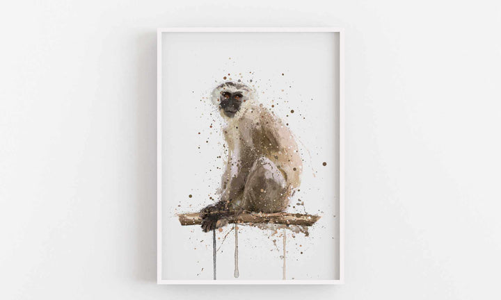 Monkey Wall Art Print ‘Vervet’