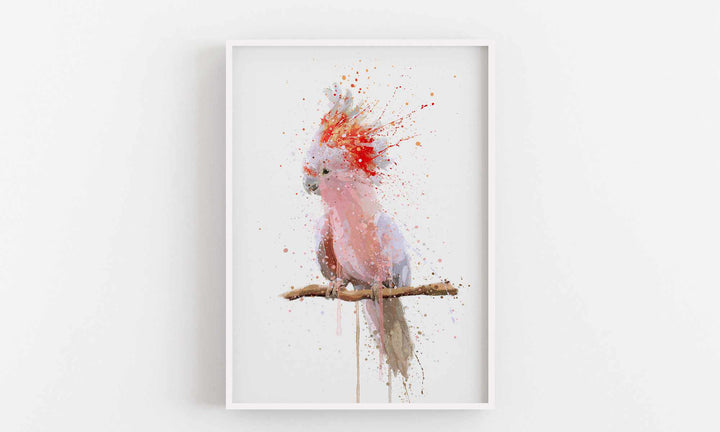 Cockatoo Wall Art Print ‘Pink Majesty’