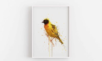 Yellow-Backed Weaver Bird Wall Art Print
